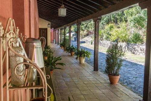 Apartamentos Casasturga - image 4