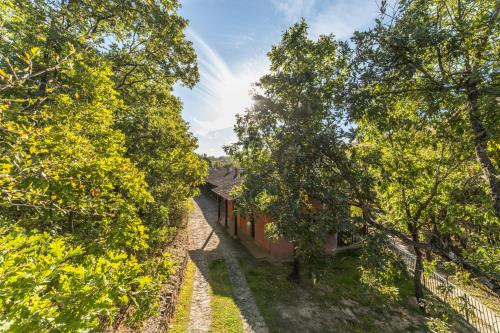 Apartamentos Casasturga - image 9
