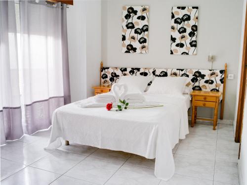 Hostal HB Torrevieja - image 3