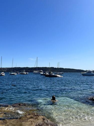 Parsley Bay garden apartment in Watsons Bay