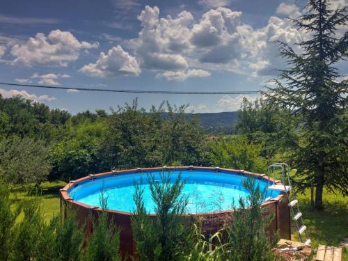 Apartments Spirit Of Istria - Lopar