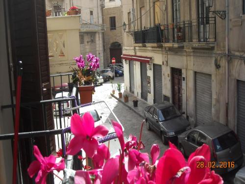 Marku's House - image 7