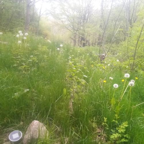 Skats, Tente Tipi en pleine forêt (Tente Tipi en pleine foret) in Burzet