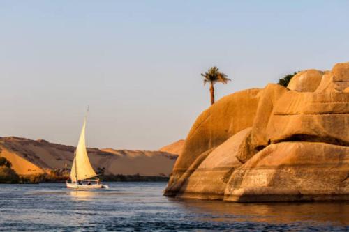Fayoum Desert Camp & Tour - image 13