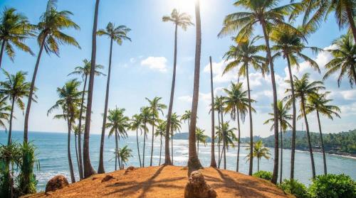 Mirissa Beach