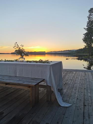 A környék, Upea miljöö Saimaalla, tilava talo ja saunamökki (Upea miljoo Saimaalla, tilava talo ja saunamokki) in Oravisalo