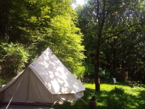 Tente Tipi en plein cœur d'une forêt gîte à louer Sagnes-et-Goudoulet