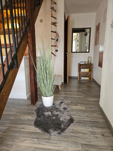 Iekārtas, Casa Franchetta, grazioso bilocale per 2 persone a Triora in Triora