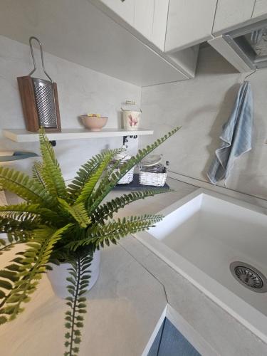 Casa Franchetta, grazioso bilocale per 2 persone a Triora in Triora