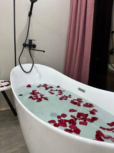 Майами (Маиами) in Uralsk