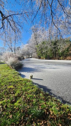 Moulin de Boudelogne in Saint-Sulpice-le-Dunois