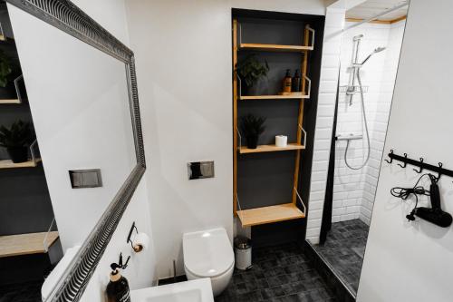 Gonsiori Apartment, Tallinn (photo 8)