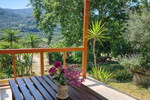 Skats, Sunshine Home - Peaceful Garden Escape & Parking in Longos Aegio