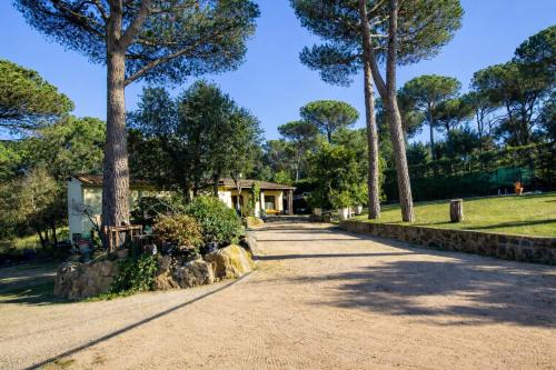 Spacious Countryside Costa Brava Relax in Sils