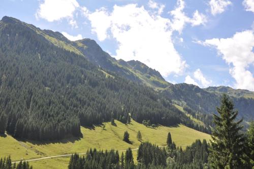 Almhütte Lengau - image 3