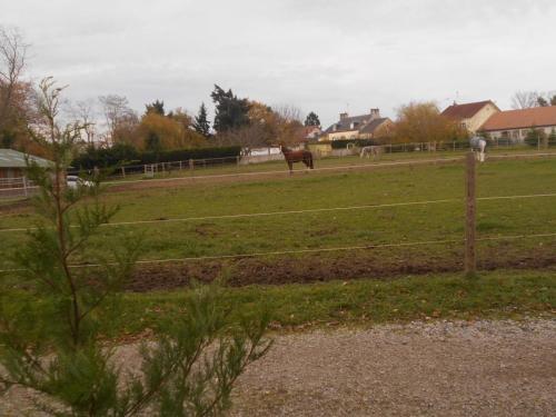 Gîte apaisant avec SPA, jardin et étang, animaux acceptés pour 6 personnes - FR-1-489-612 (Gite apaisant avec SPA, jardin et etang, animaux acceptes pour 6 personnes - FR-1-489-612) in Bezenet