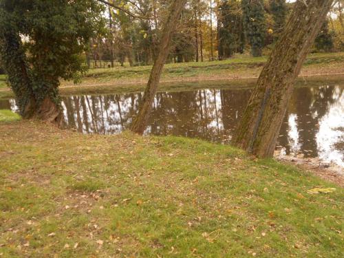 Gîte apaisant avec SPA, jardin et étang, animaux acceptés pour 6 personnes - FR-1-489-612 (Gite apaisant avec SPA, jardin et etang, animaux acceptes pour 6 personnes - FR-1-489-612) in Bezenet