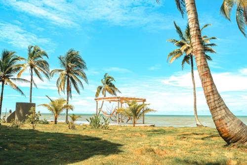 Sarao Mar