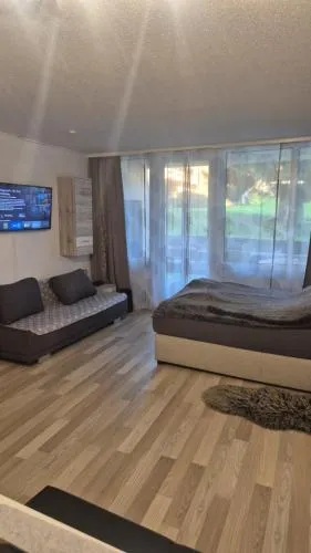 Ferienwohnung Phin in Sankt Englmar, mit Pool, activCard und Smart TV in Sankt Englmar, Deutschland
