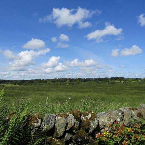 المنطقة المحيطة, Barnkirk Holidays in نيوتون ستيوارت