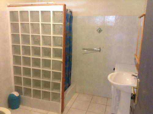 Charmant studio avec vue jardin à Morne-à-l'Eau 30 m² - image 4