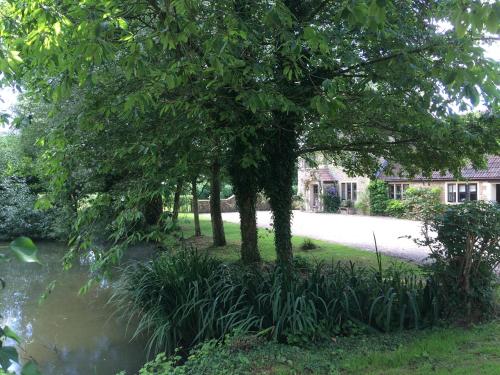 Great Ashley Farm Bed and Breakfast & Shepherds Huts - 주변 환경