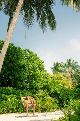 Beach, Lagoon Villa, Thoddoo in Alifu Alifu Atoll