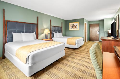 2 queen beds