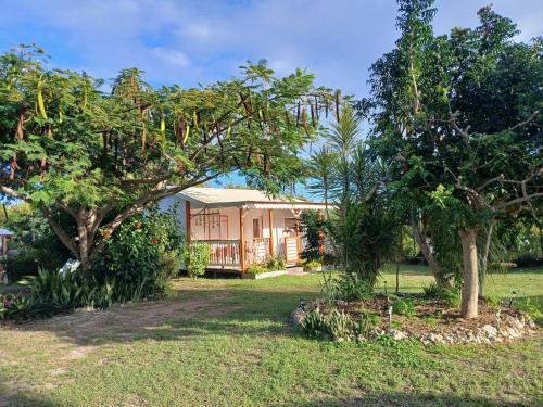 Bungalow au soleil - image 4