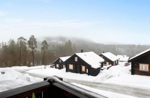 Ski in-out, cosy apartment in Funkelia Kongsberg in Конгсберг