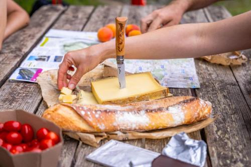 Montricher karellis, a 5 min de St Jean de Maurienne in Montricher-Albanne