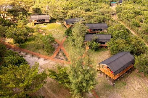 Aruba Mara Camp & Safaris in Narok