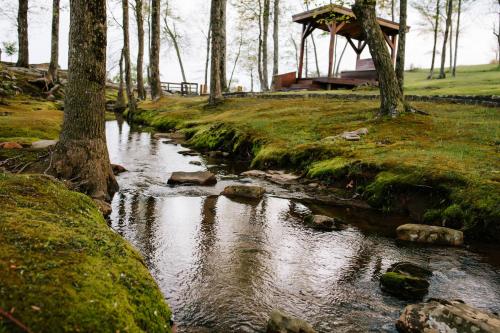 Azalea & Blackberry Cabins in Jasper, USA