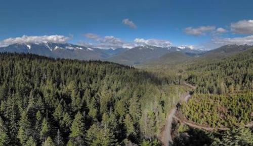 Lotus Hideaway in Boston Bar (BC)