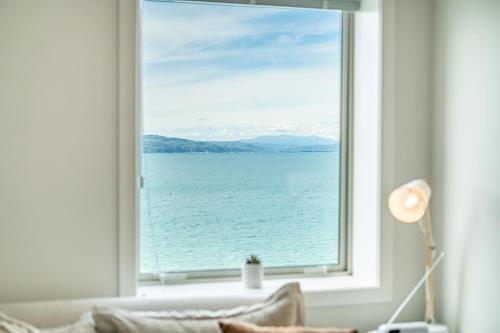 Luxury Beachfront Apartment - Entire 2 Level Apartment in Oriental Parade