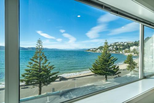 Luxury Beachfront Apartment - Entire 2 Level Apartment in Oriental Parade
