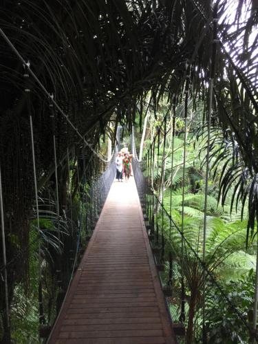 阿拉薩里種植園酒店 Alassari Plantation