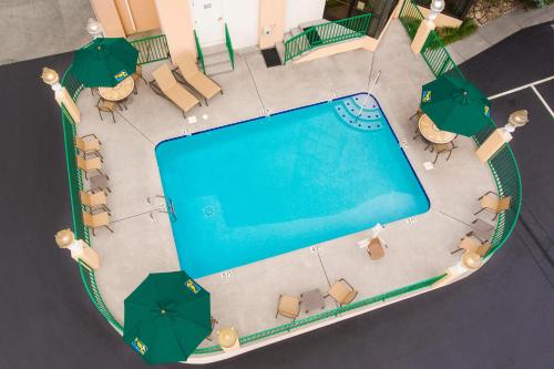 Pigeon River Inn - image 7