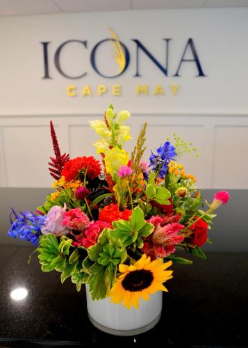 81004593 ICONA Cape May