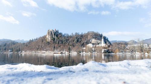 Deluxe apartments Bled 3