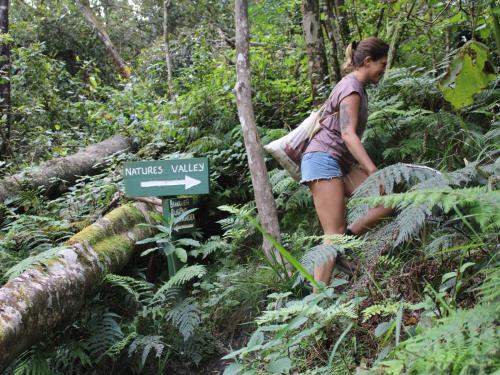 ที่เที่ยวใกล้ที่พัก, Wild Spirit Backpackers Lodge in อ่าวเพลทเทนเบอร์ก
