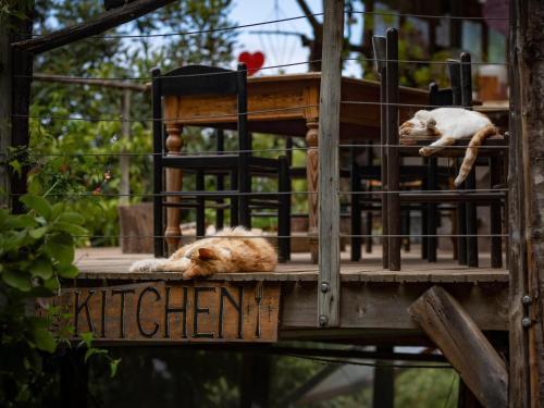 ทัศนียภาพภายนอกโรงแรม, Wild Spirit Backpackers Lodge in อ่าวเพลทเทนเบอร์ก
