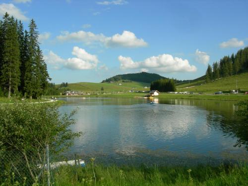 附近景點, Landhaus Kurzen in 泰哈姆山麓弗拉德尼茨