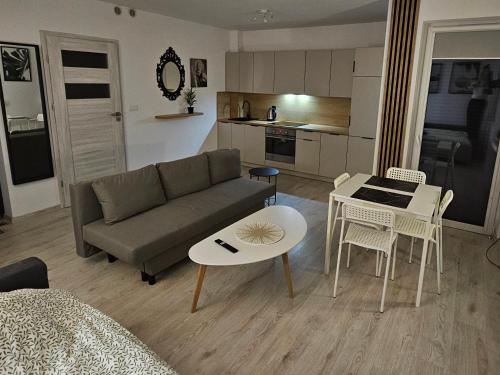 Apartament Studio Centrum - Debrzno