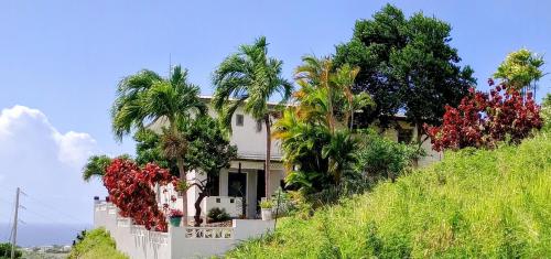Breezy Vista on the Terrace - West Coast, Saint James, Barbados – khách sạn tại Saint James