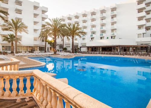 Globales Maioris - zdjęcie 2