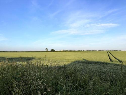 Iekārtas, 3 Bed in Kings Lynn oc-82358 in Greitmasinghema