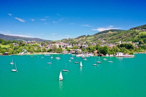 外部景觀, Ferienwohnung Segelschule Mondsee in 蒙德西