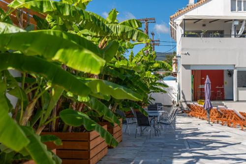 Mojo Hotel Laganas Zante 4