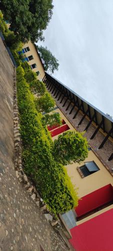MoyMoy Lifestyle Lodge in Balule Game Reserve